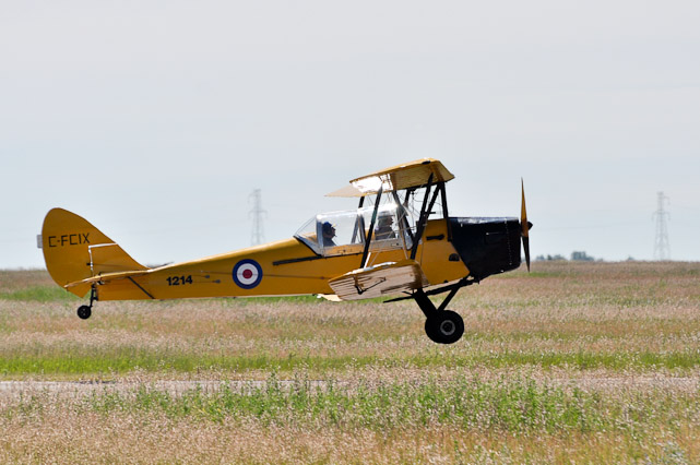 Tiger Moth Landing